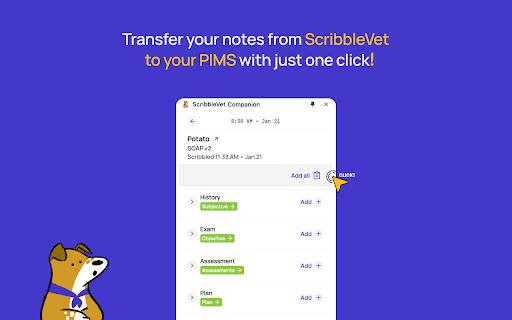 ScribbleVet Chrome Companion ai chrome extension