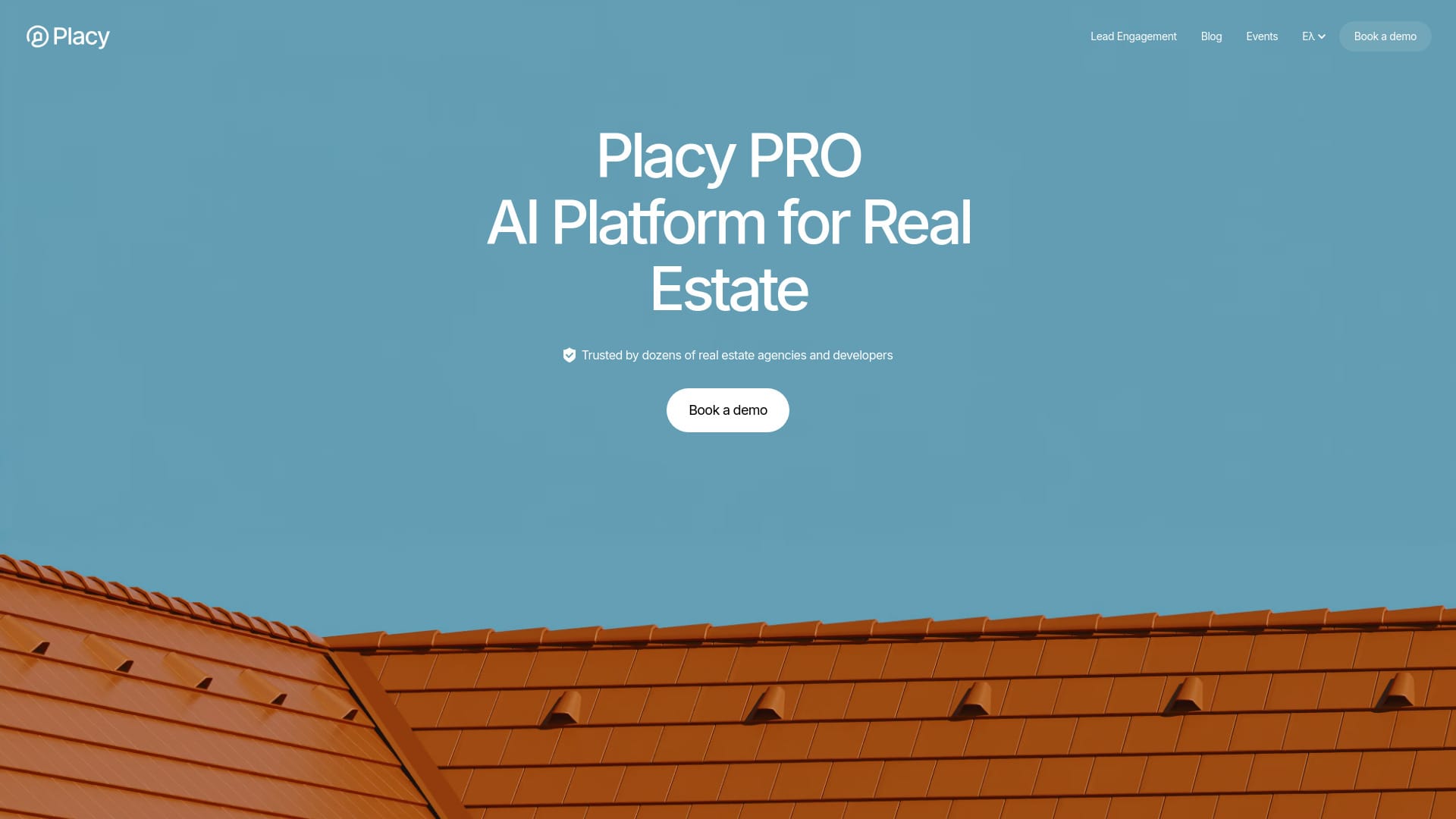 Placy Pro logo