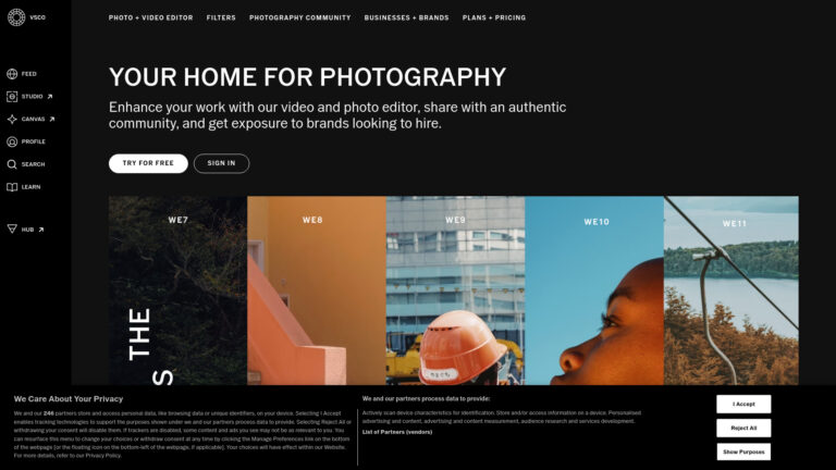 Top Vsco AI Tool Review